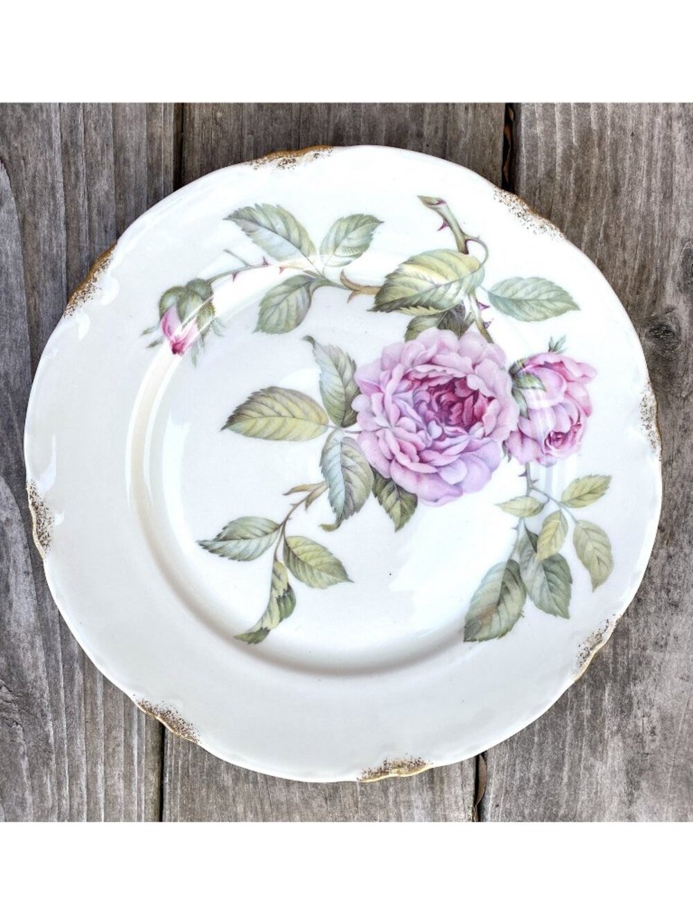 Venetian Rose Gold Dinner Plate By Warwick Scalloped Gold Daubs 10” Disc (Bin4)